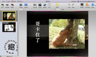 在线制作简易PPT幻灯片-280 Slides