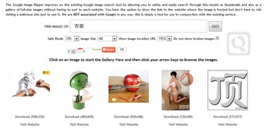 教你优化使用Google图片搜索-Google Image Ripper